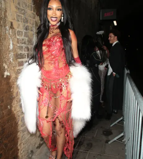 Image 1762983 from Jourdan Dunn