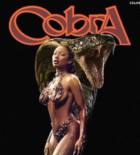 Image 1762966 from Megan thee stallion