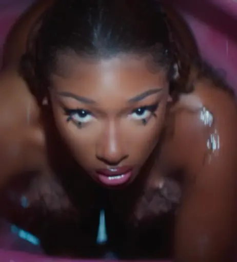 Image 1763162 from Megan thee stallion