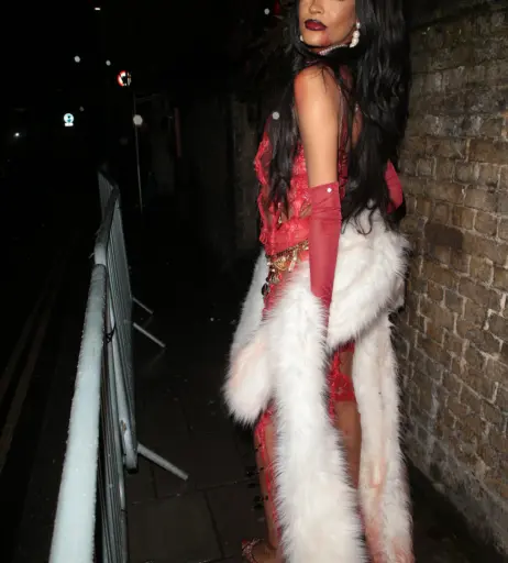 Image 1763119 from Jourdan Dunn