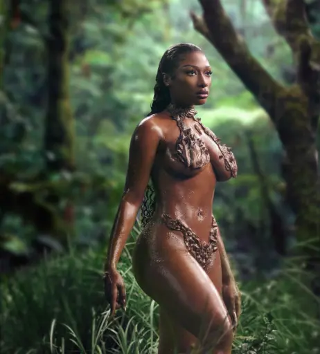 Image 1763011 from Megan thee stallion