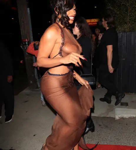 Image 1763211 from Megan thee stallion