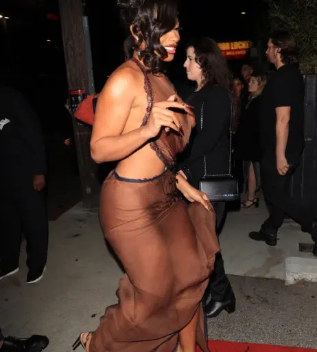 Image 1763232 from Megan thee stallion