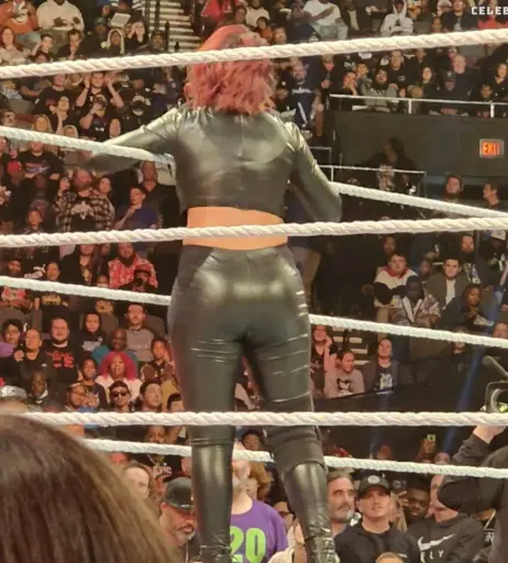 Image 1769464 from Bayley