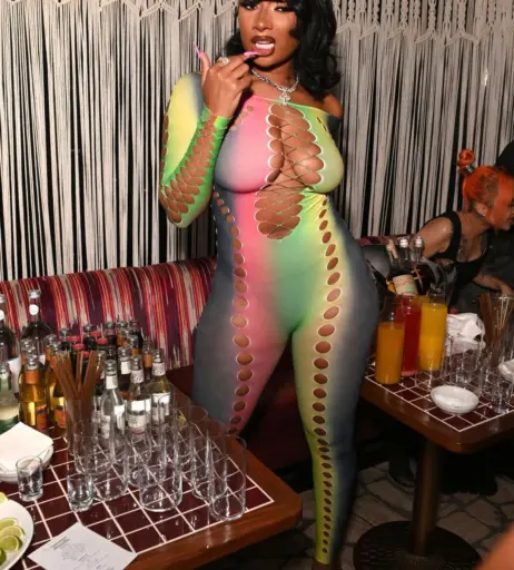 Image 1769411 from Megan thee stallion