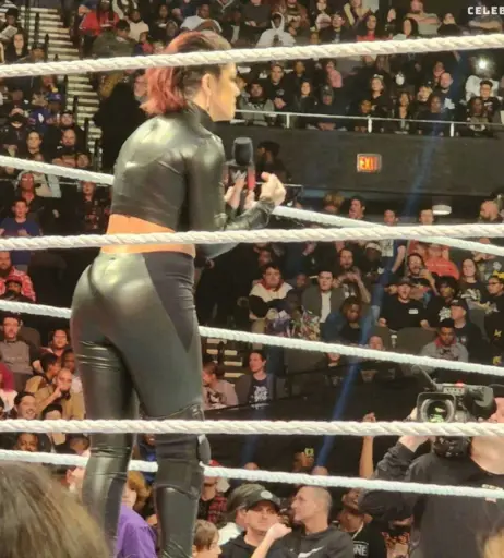 Image 1769654 from Bayley