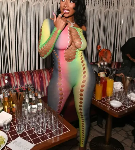 Image 1769211 from Megan thee stallion