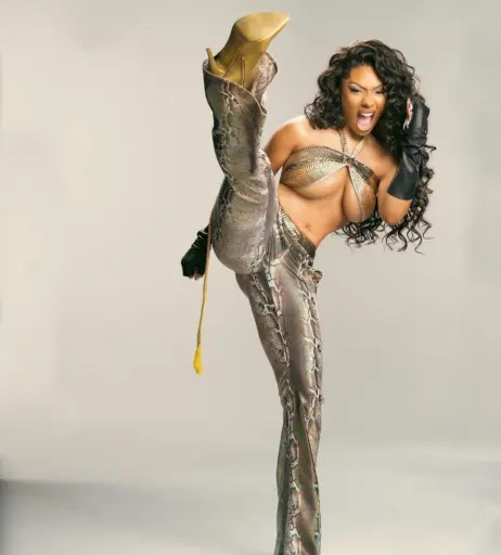 Image 1769958 from Megan thee stallion