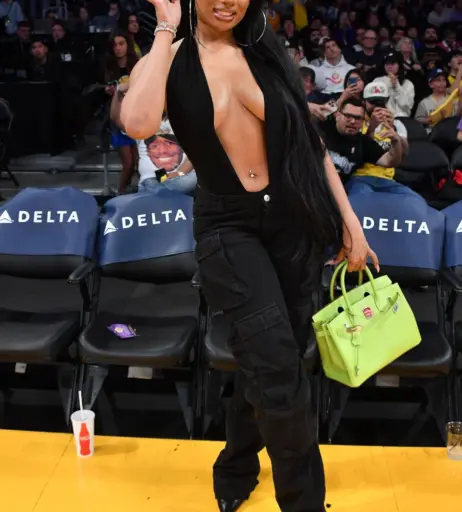 Image 1768642 from Megan thee stallion