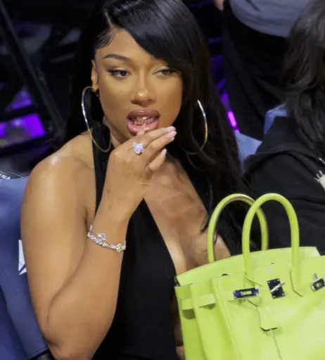 Image 1768164 from Megan thee stallion