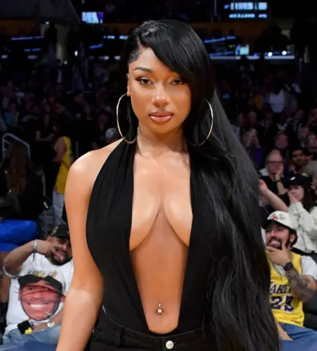 Image 1768393 from Megan thee stallion