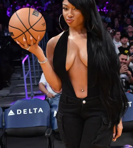 Image 1768309 from Megan thee stallion