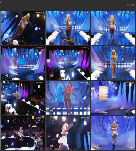 Image 1755501 from Torrie Wilson