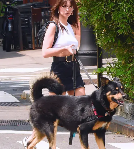 Image 1751830 from Emily Ratajkowski