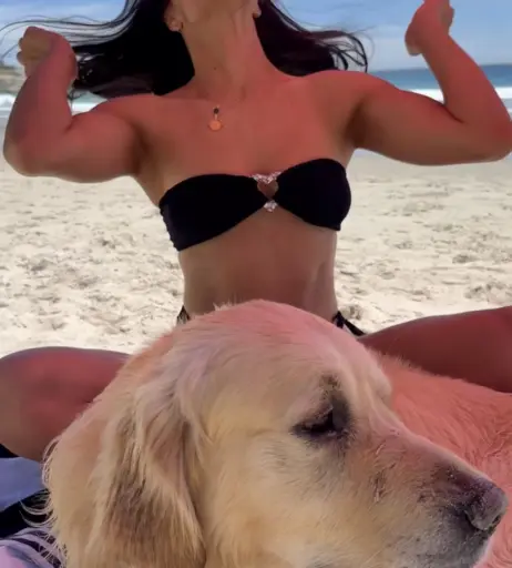 Image 1752546 from Amira Aly / Pocher