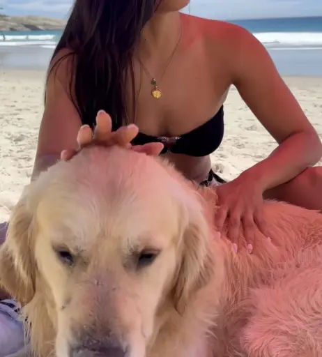 Image 1752490 from Amira Aly / Pocher