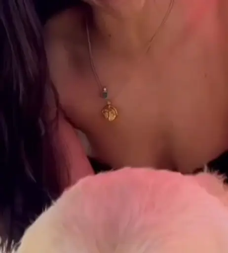 Image 1752797 from Amira Aly / Pocher