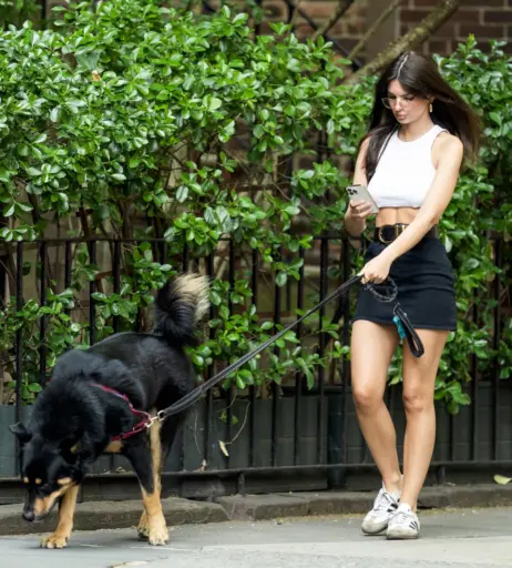 Image 1752190 from Emily Ratajkowski