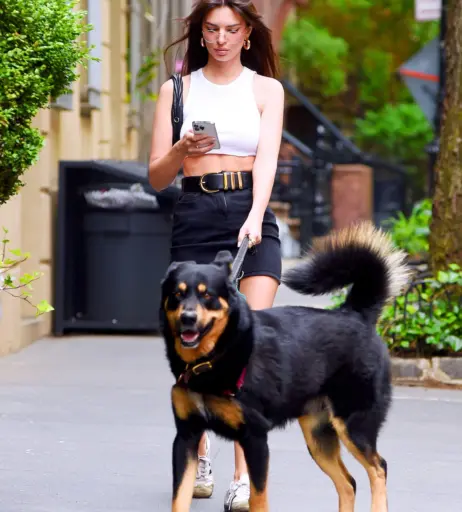 Image 1752143 from Emily Ratajkowski