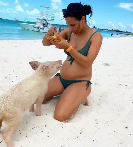 Image 1752964 from Amira Aly / Pocher