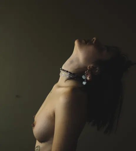 Image 1750181 from Mare Cirko