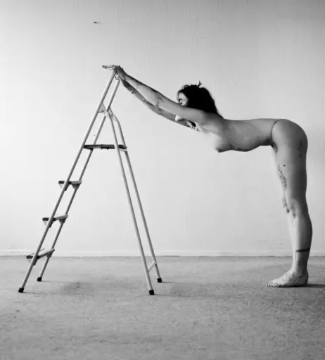 Image 1750125 from Mare Cirko