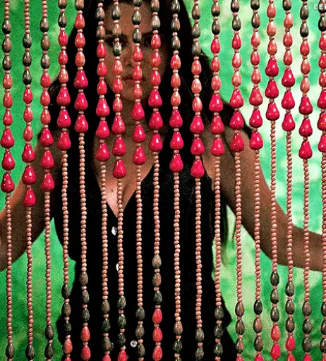 Image 1759212 from Selena Gomez