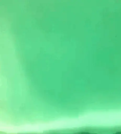 Image 1758223 from Peyton List