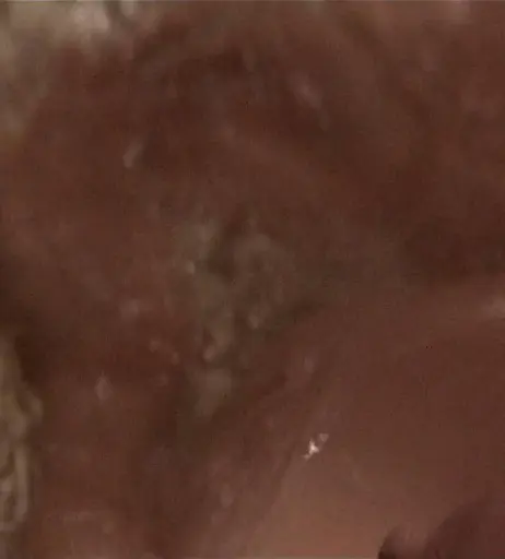 Image 1745551 from Demi Moore