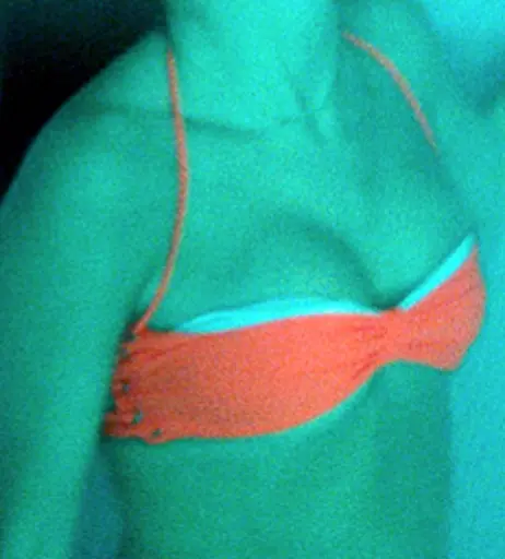 Image 1745428 from Selena Gomez