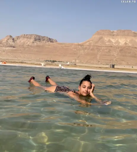 Image 1746682 from Amira Aly / Pocher