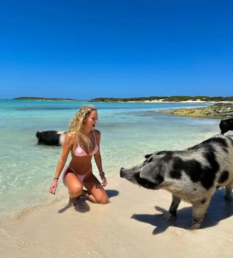 Image 1747183 from Andrea Dalmau