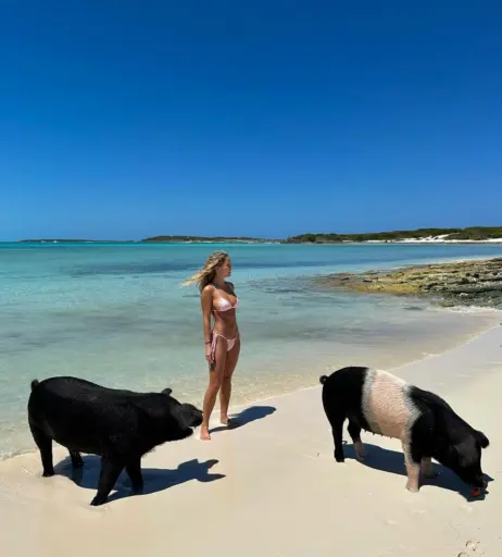 Image 1747230 from Andrea Dalmau