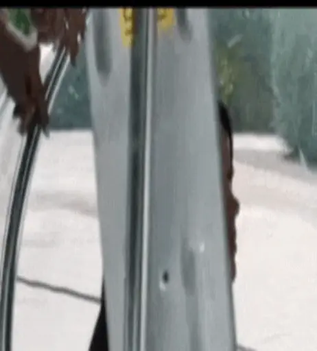 Image 1741168 from Shirin David