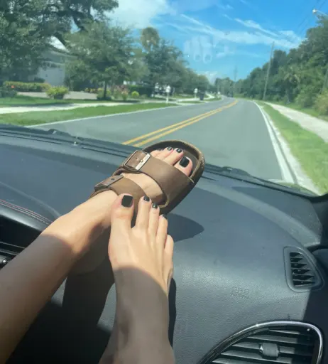 Image 17431383 from hang10toess