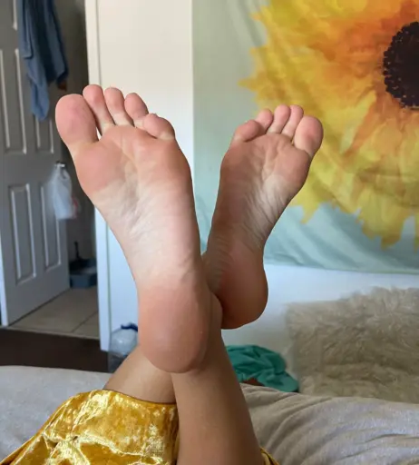 Image 17433366 from hang10toess