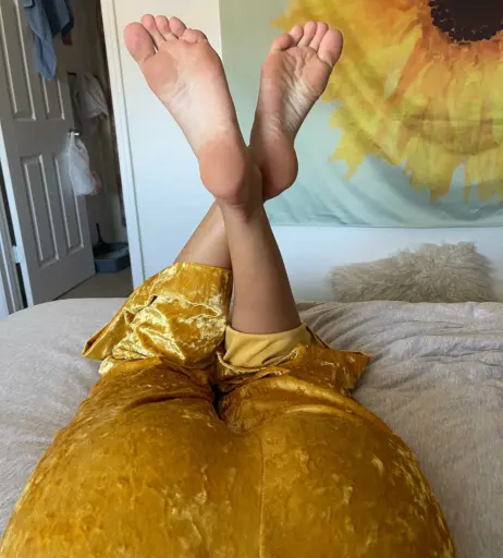 Image 17433345 from hang10toess