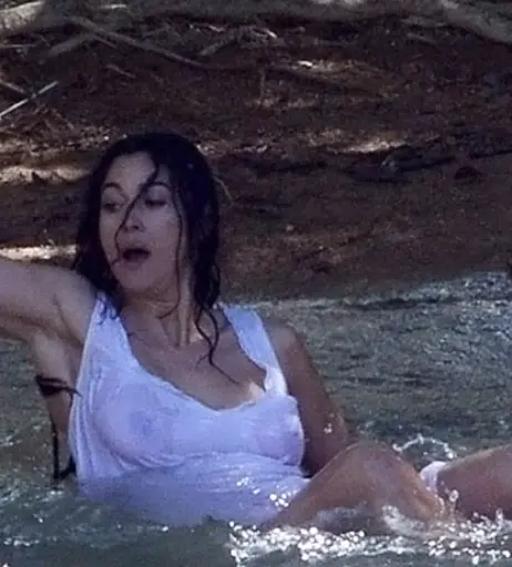 Image 1740369 from Monica Bellucci
