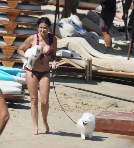 Image 1749961 from Demi Moore