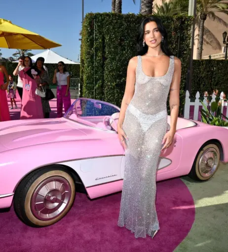 Image 1735066 from Dua Lipa