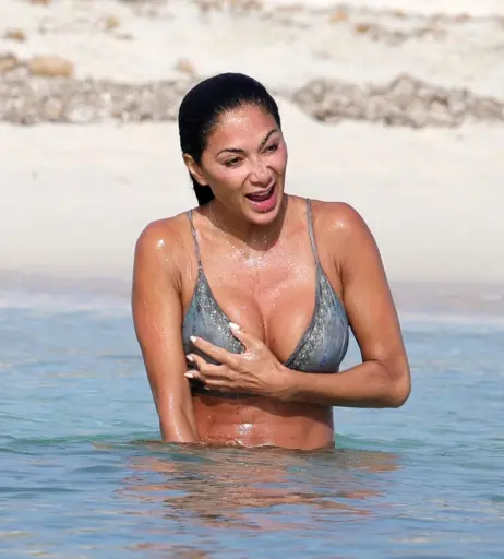 Image 1735910 from Nicole Scherzinger