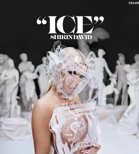 Image 1736283 from Shirin David