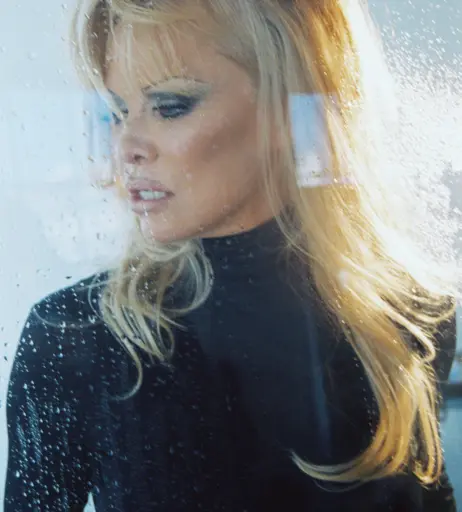 Image 1731440 from Pamela Anderson