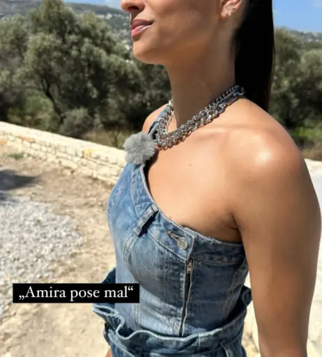 Image 1739736 from Amira Aly / Pocher