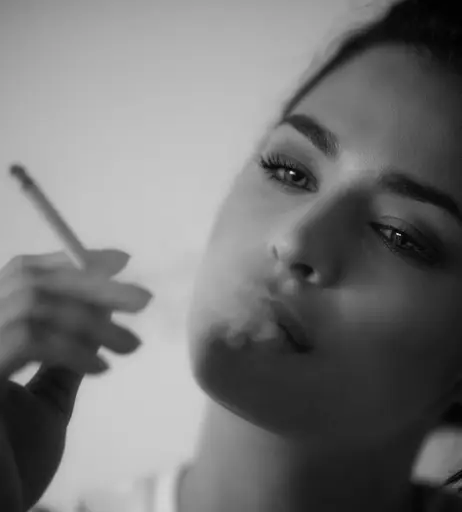 Image 1738432 from Amira Aly / Pocher