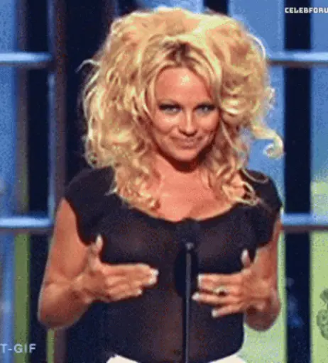 Image 1726755 from Pamela Anderson