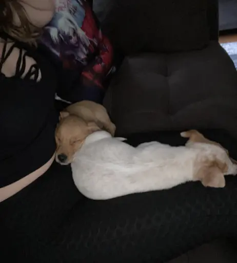 Image 17205509 from keykeybabe