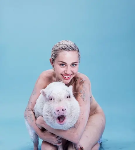 Image 1728764 from Miley Cyrus