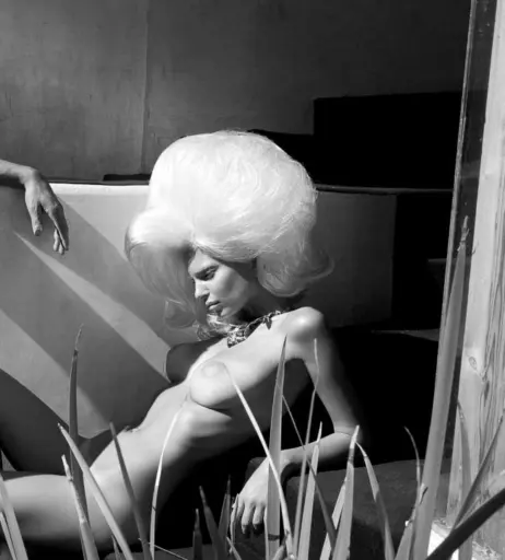 Image 1728907 from Emily Ratajkowski