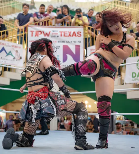 Image 10801564 from Women of Joshi Puroresu